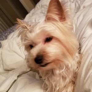 Meet your Posher, Kristin